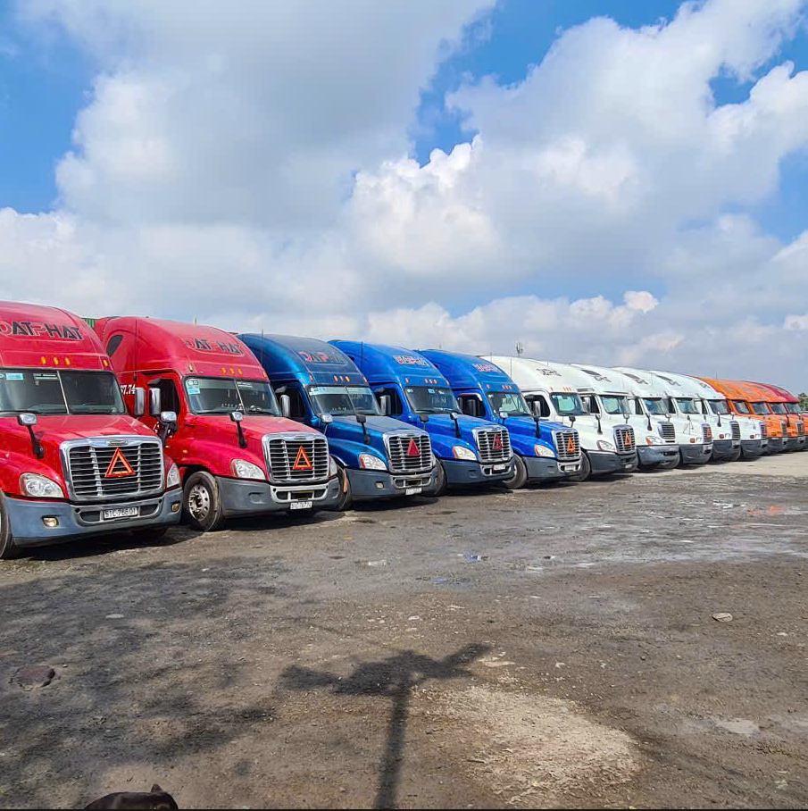 NGUYỄN SĨ TRƯỜNG THÀNH ⭐⭐⭐⭐⭐